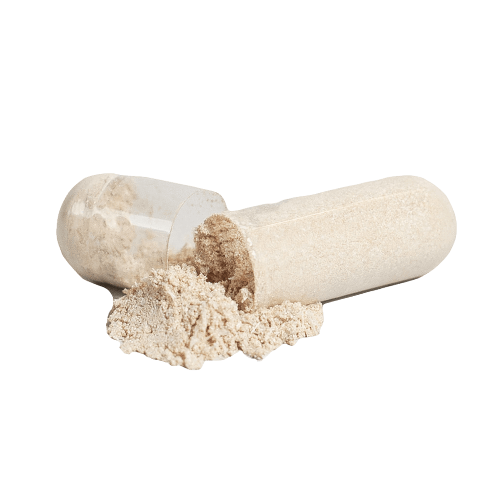 WINTER STRONG™ MULTIVITAMIN