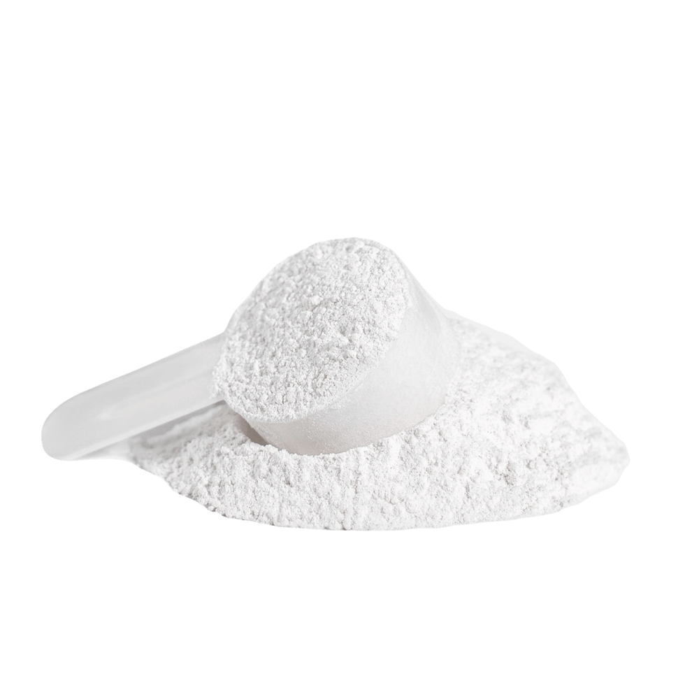 FAMOUS WARLORD™ PRE-WORKOUT (Fruit Punch)